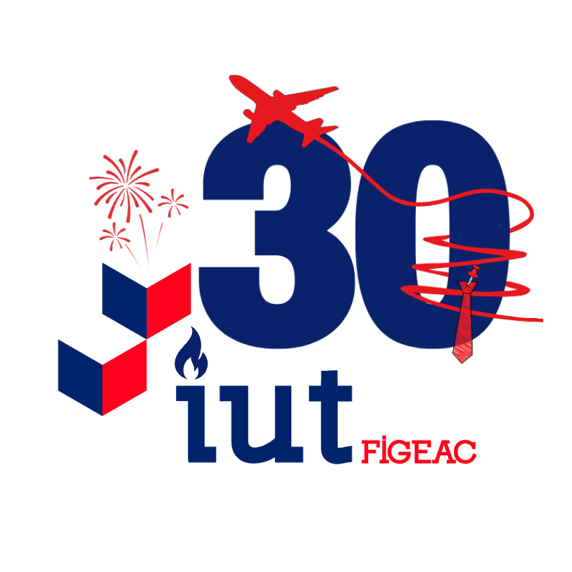 Logo 30 ans IUT Figeac